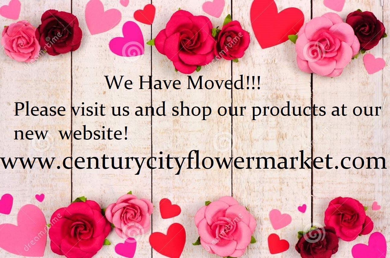 SHOP VALENTINES ON OUR NEW SITE!